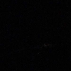 Meet your Posher, Gabriel